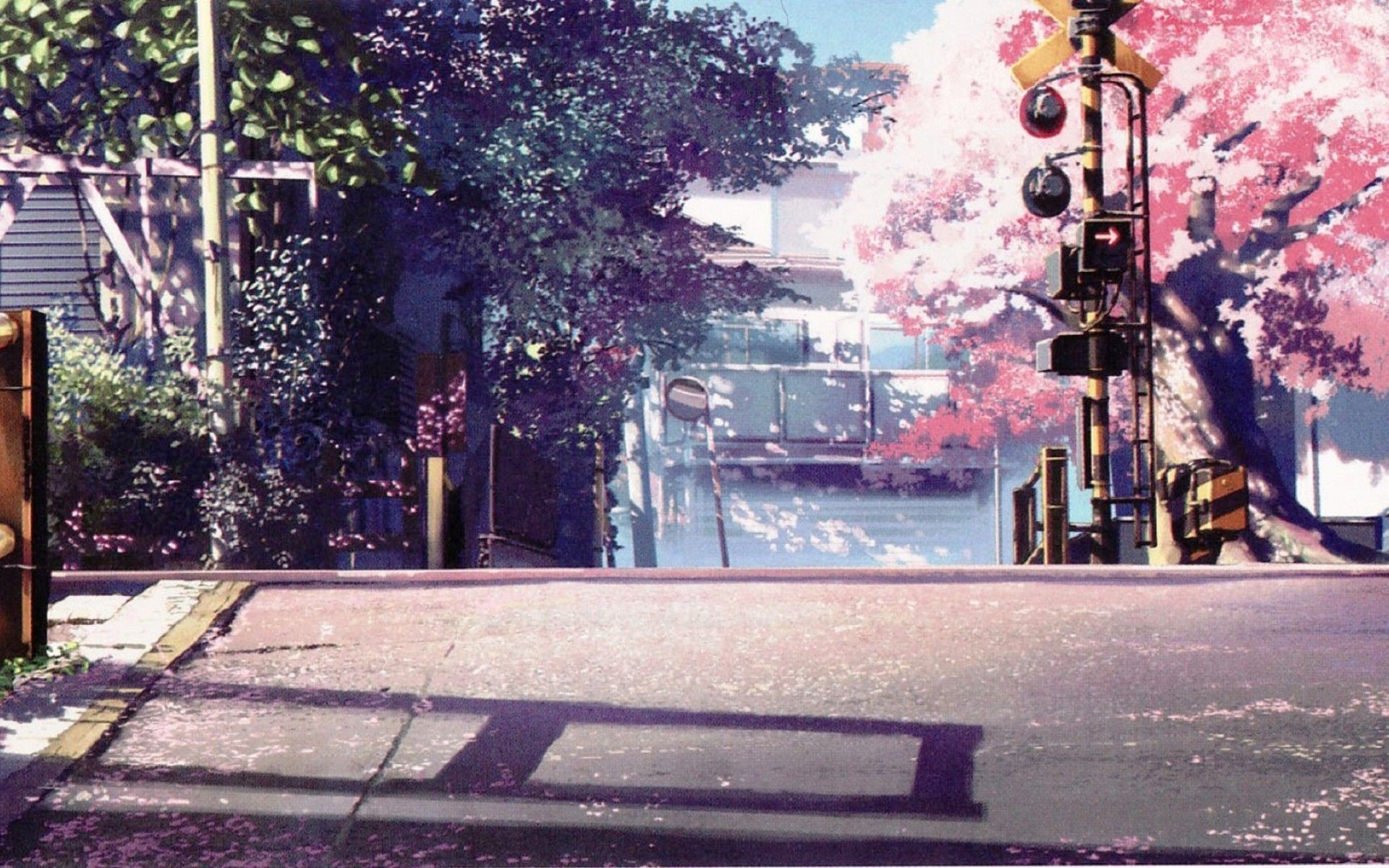 Background hoa anh đào Anime đẹp