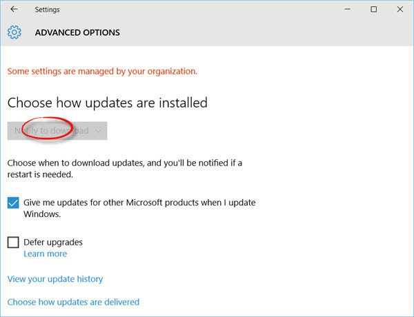 Maake Windows 10 thông báo cho bạn trước khi tải xuống các bản cập nhật