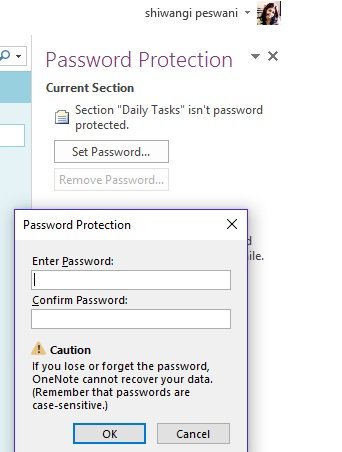 onenote-password-protection1a