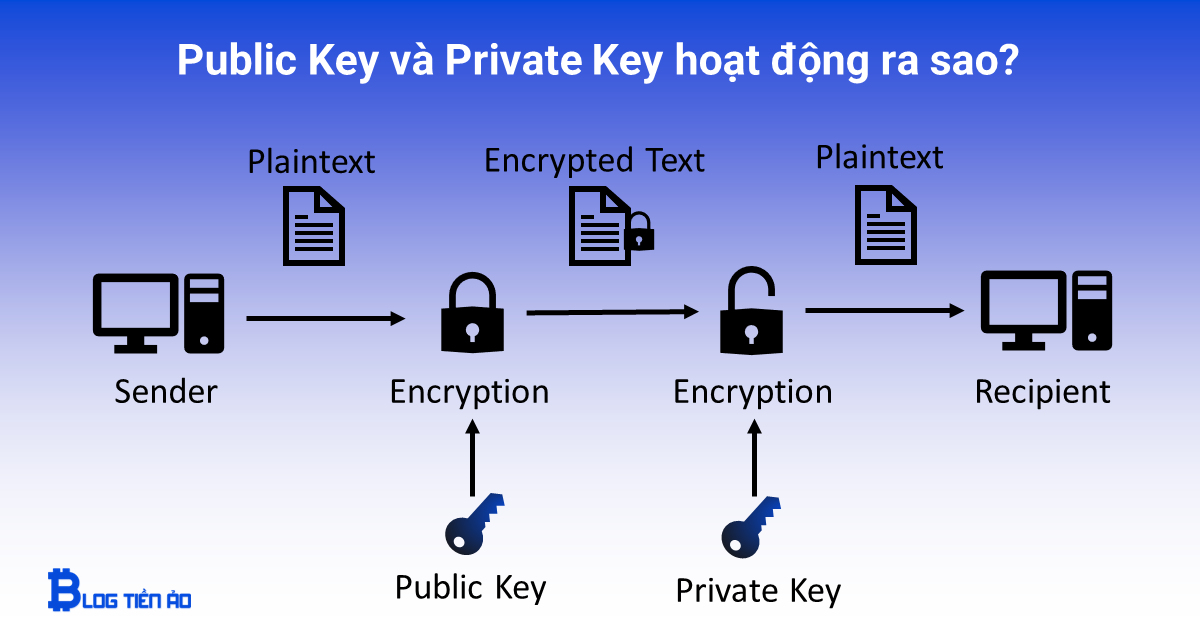 Public Key và Private Key hoạt động ra sao?
