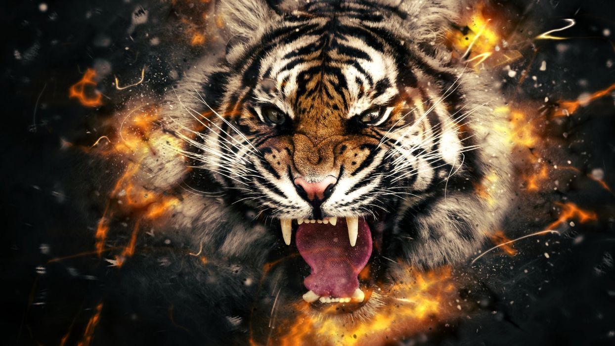 Hình ảnh con hổ đang giận dữ