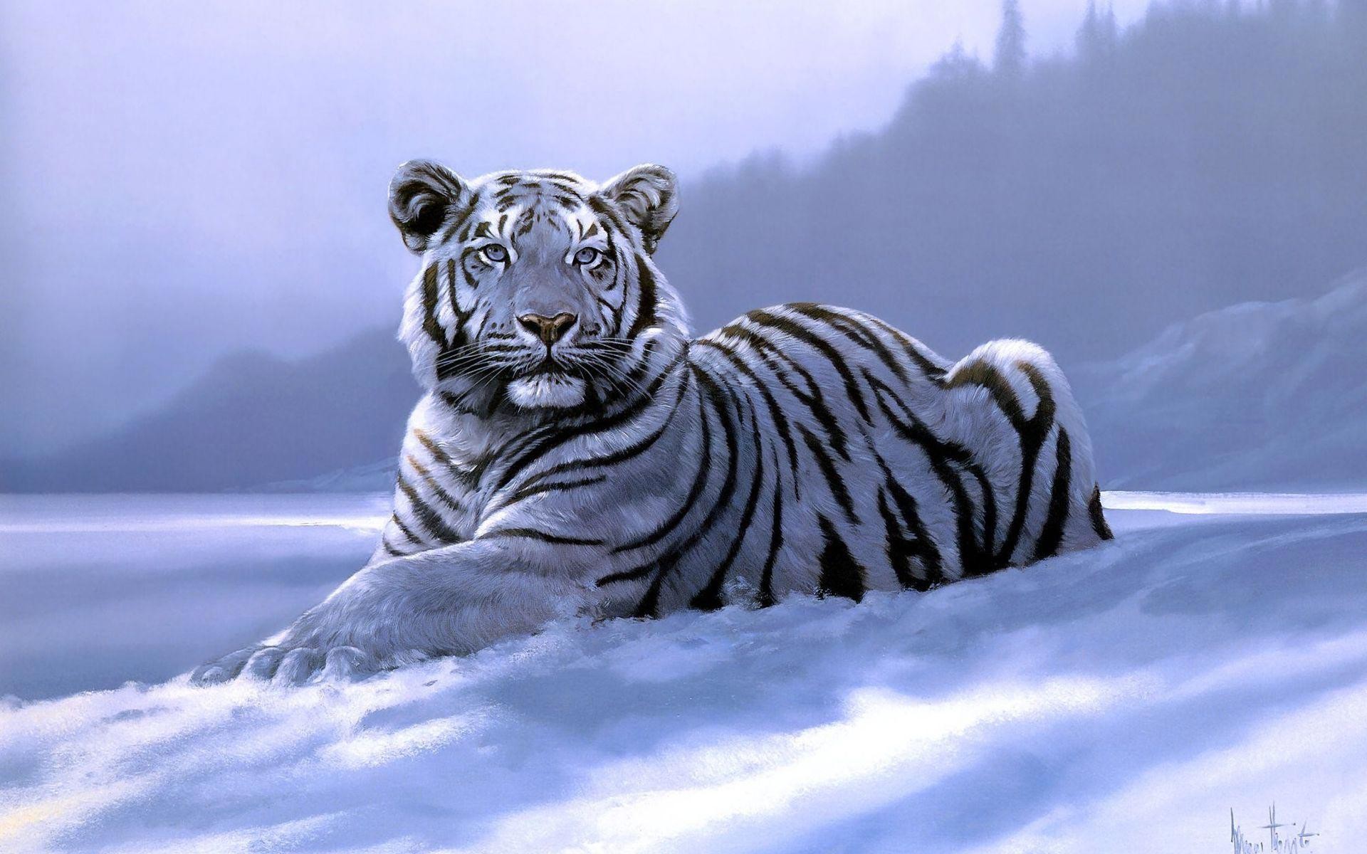 Hình ảnh con hổ oai hùng