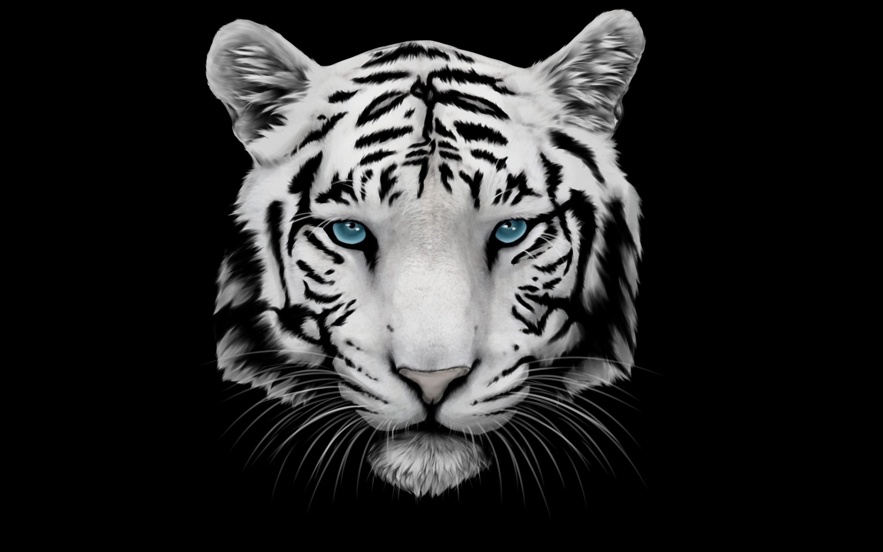Hình ảnh đầu con hổ vằn trắng đen đẹp nhất