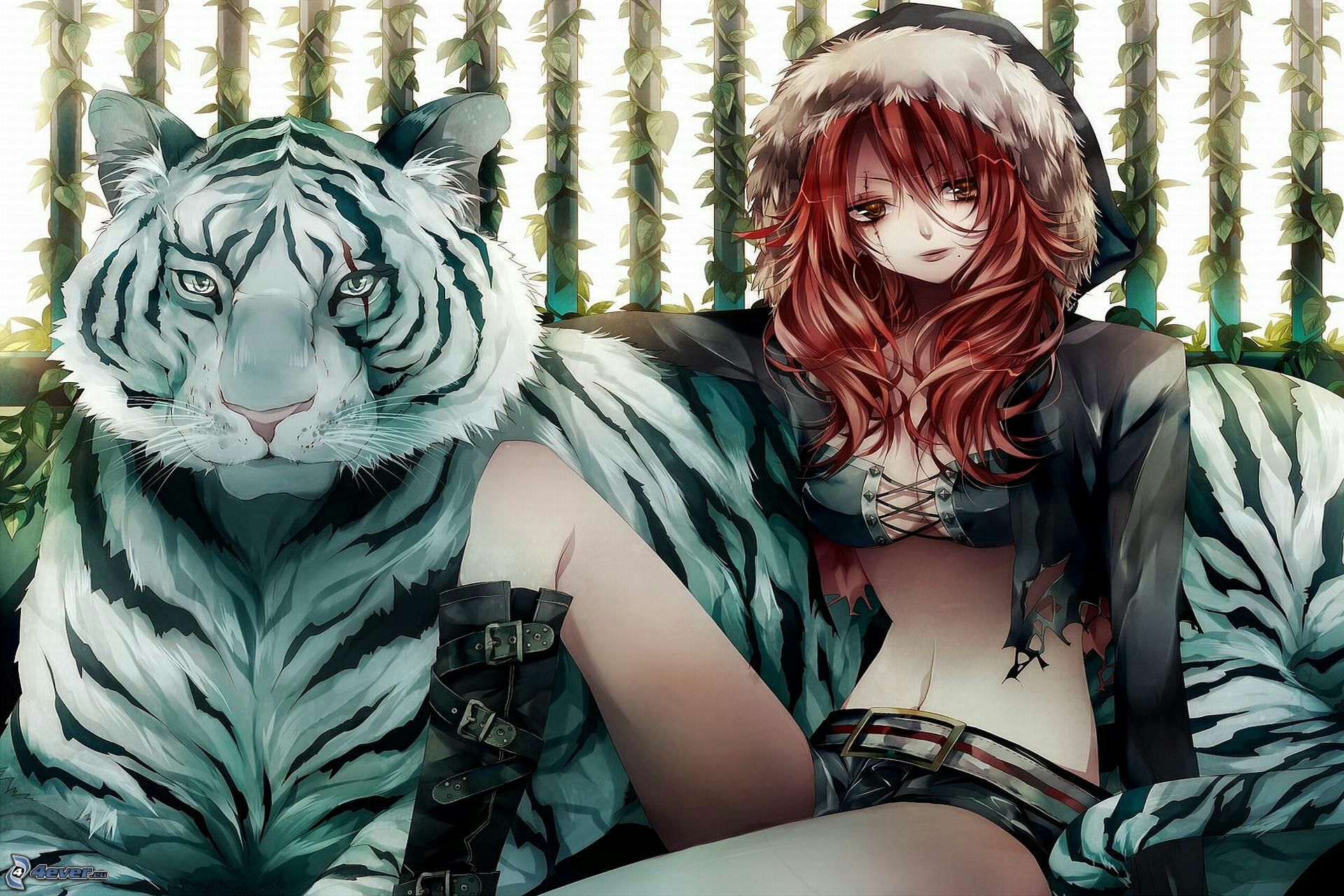 Hình anime con hổ và cô gái