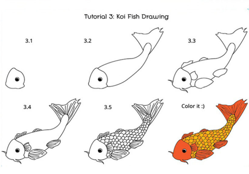 Cách vẽ Cá Chép Koi đẹp