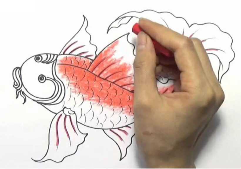 Vẽ Cá Chép bằng bút sáp