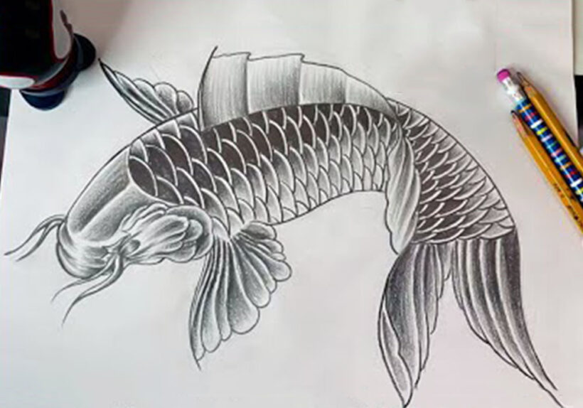 Vẽ Cá Chép đẹp