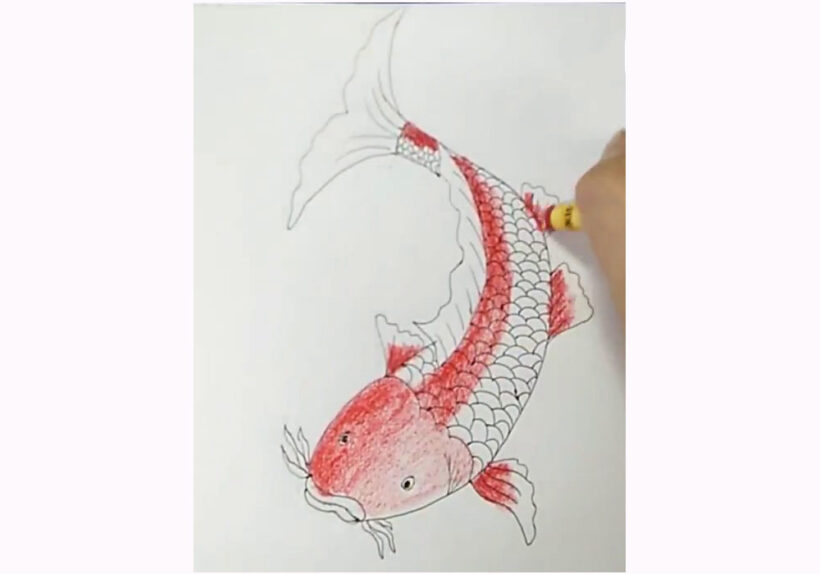 vẽ Cá Chép đơn giản