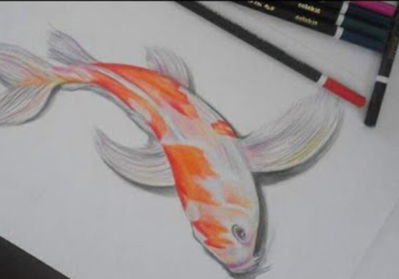 Cách vẽ Cá Chép 3D