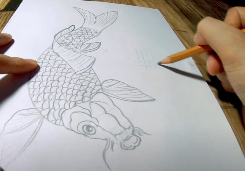 Cách vẽ Cá Chép bằng bút chì