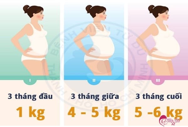5 thang dau mang thai nen tang bao nhieu kg 14