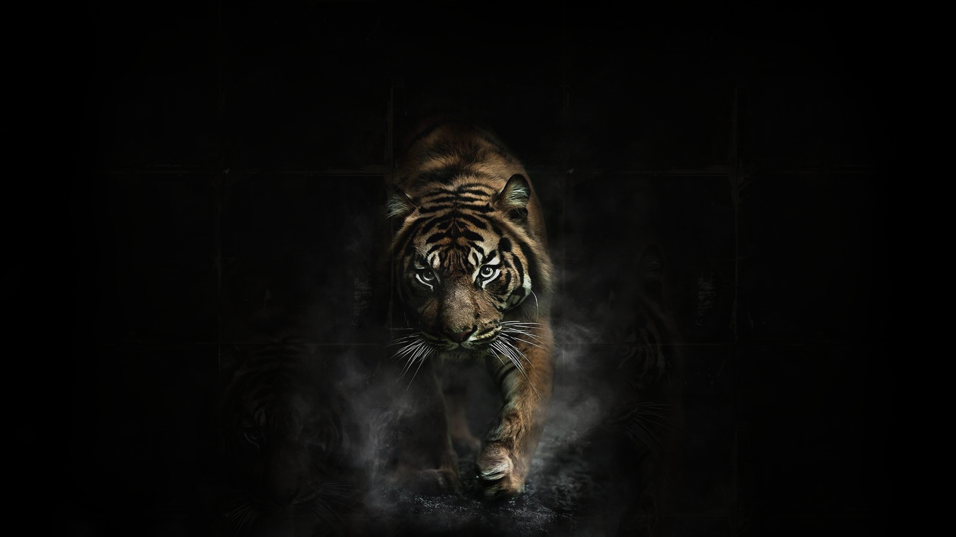 Hình ảnh con hổ trên nền đen cực ngầu