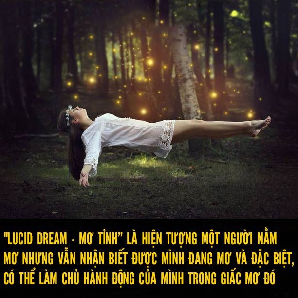 Lucid Dream là gì