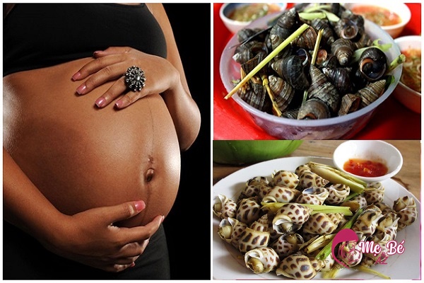 Mang thai có được ăn ốc không là thắc mắc của nhiều mẹ bầu
