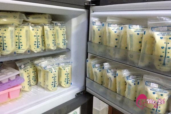 Sữa mẹ vắt ra để tủ lạnh được bao lâu tùy vào từng loại tủ