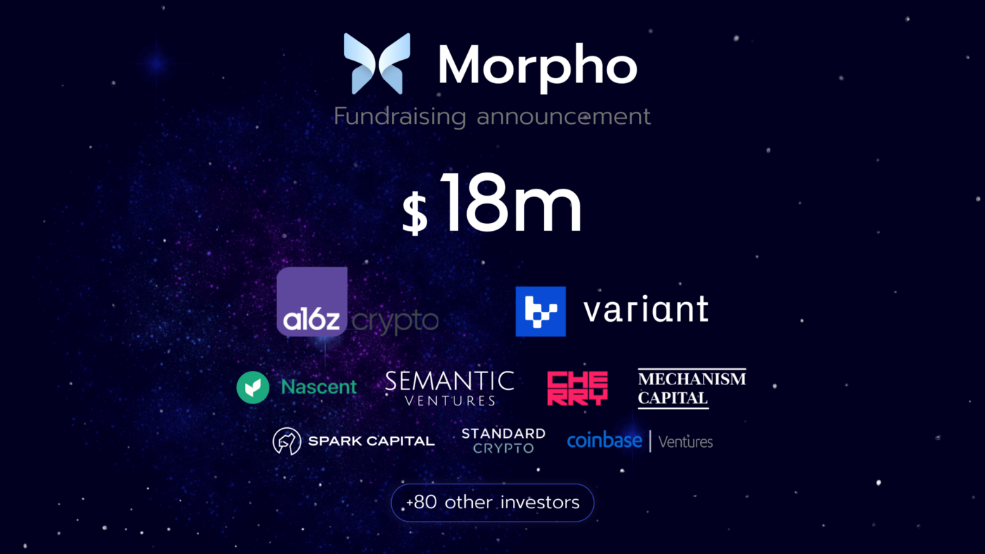 Morpho investors