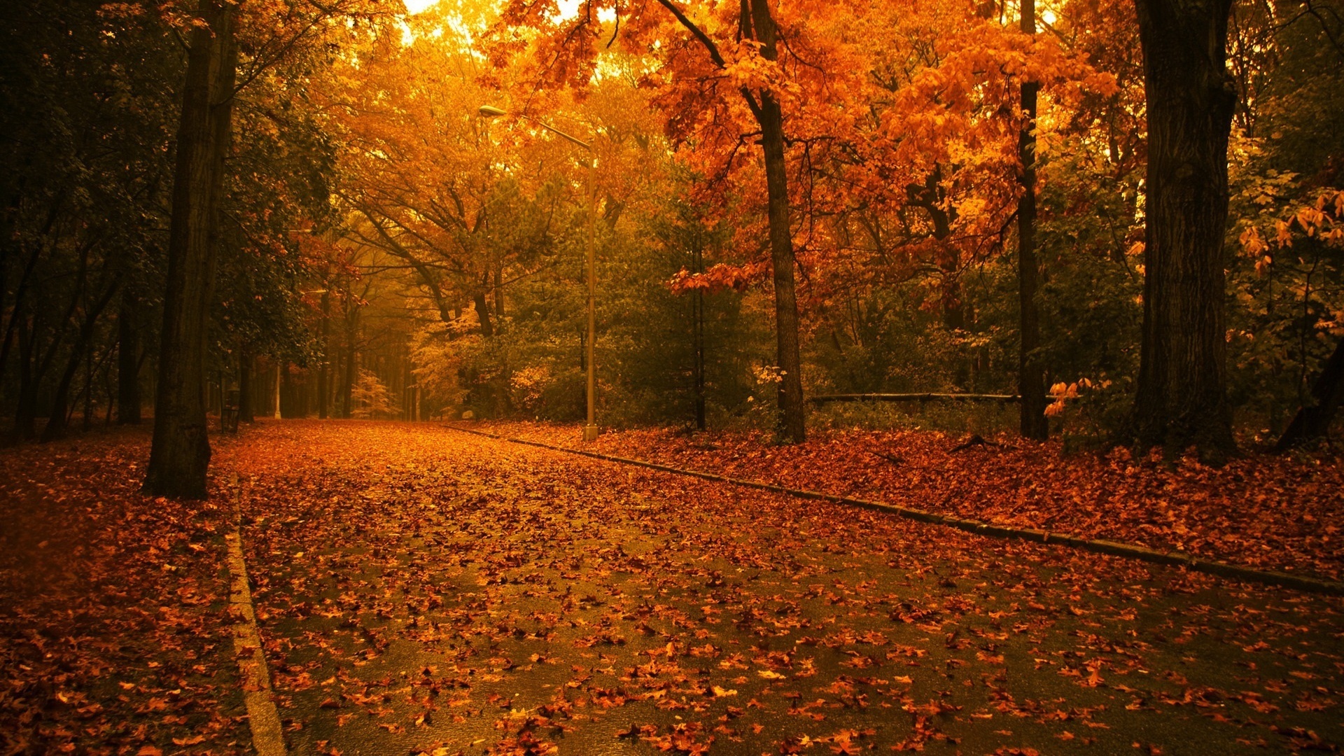 Hình nền phong cảnh mùa thu