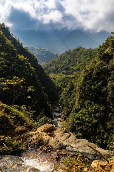 Hình ảnh rừng núi đẹp ở Sapa Việt Nam