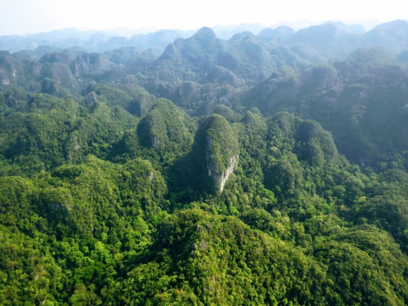 Hình ảnh núi rừng Phong Nha Kẻ Bàng tuyệt đẹp