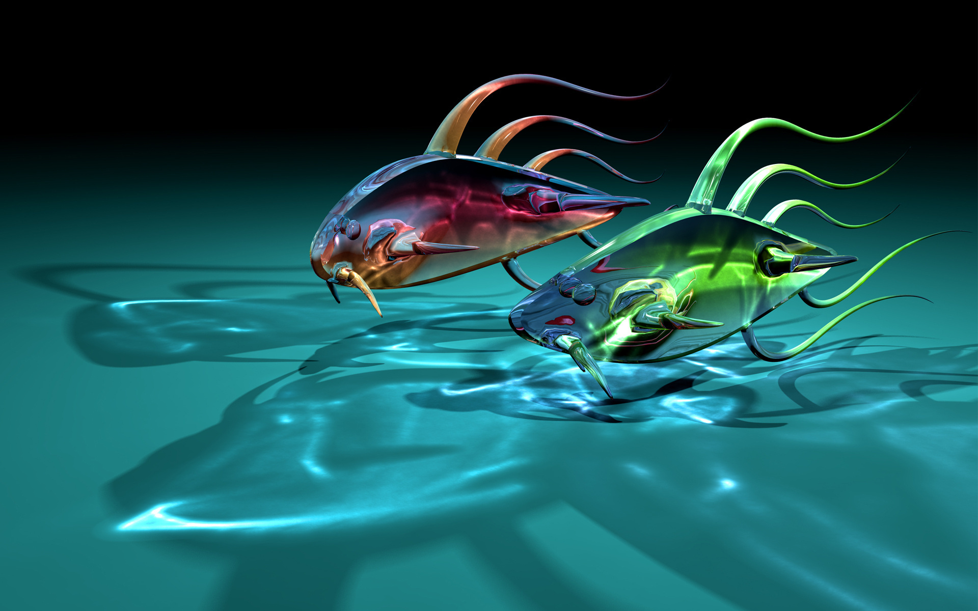 Fish 3D images