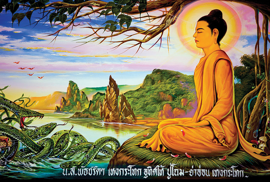 1660665131 29 Bo Suu Tap Hinh Anh Phat Thich Ca Mau Ni