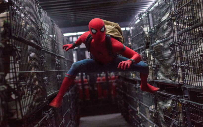 Hình ảnh Spider Man cực đẹp