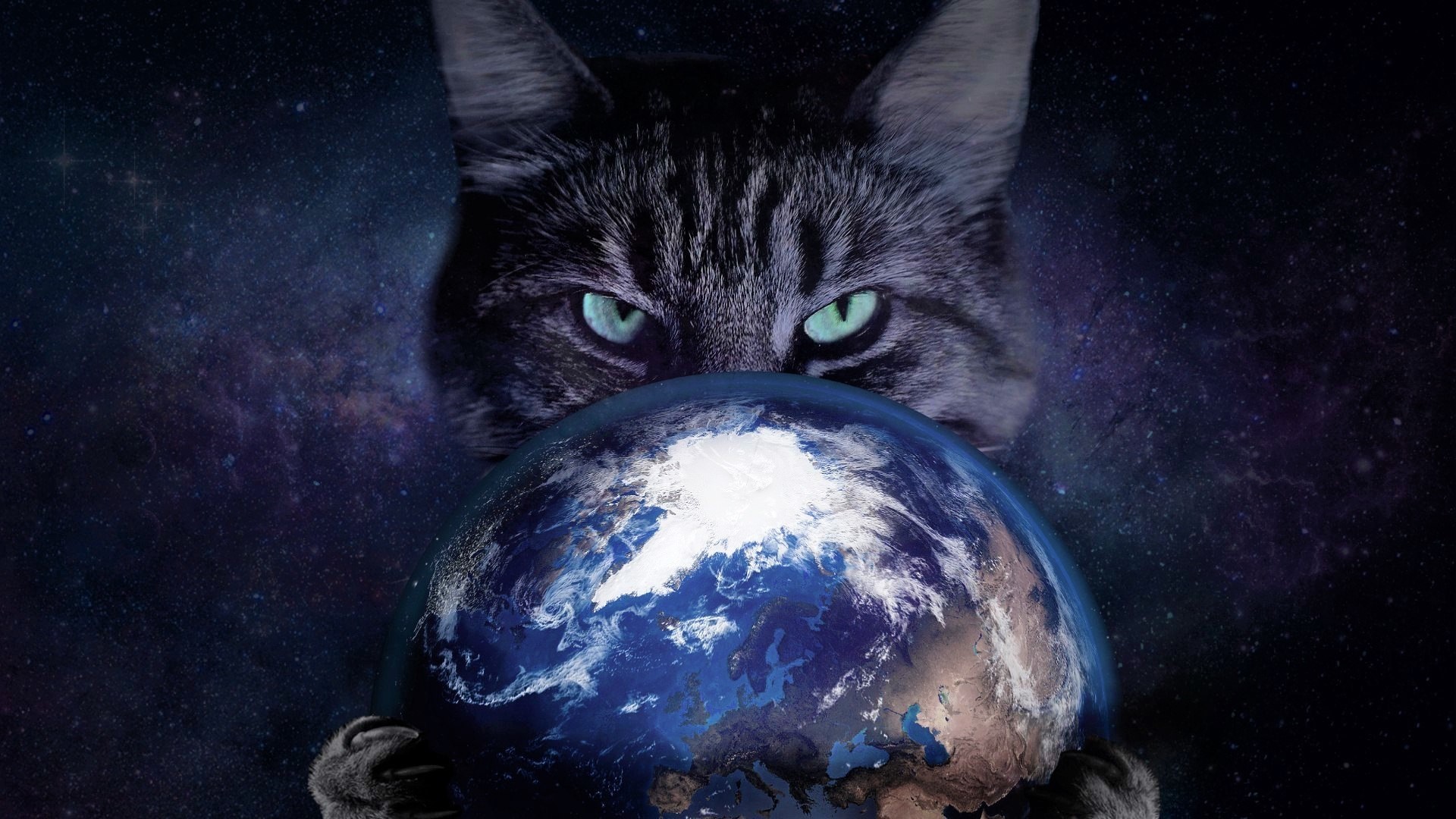 Hình nền mèo và trái đất