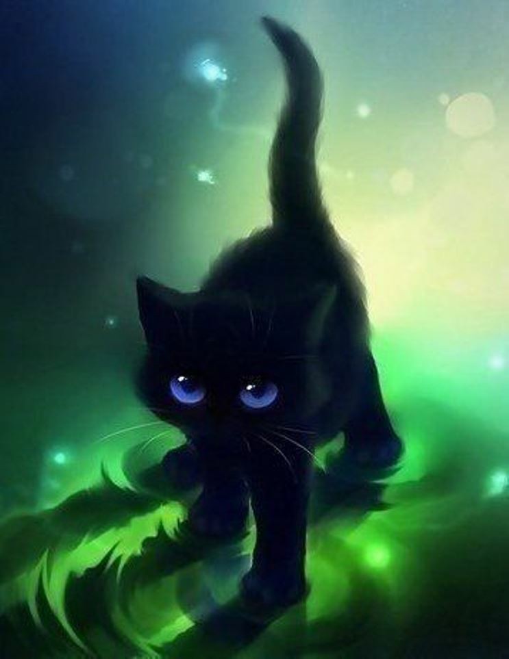 Tổng Hợp 300 ảnh Mèo đen Anime đẹp Nhất, được Tải Nhiều (2)
