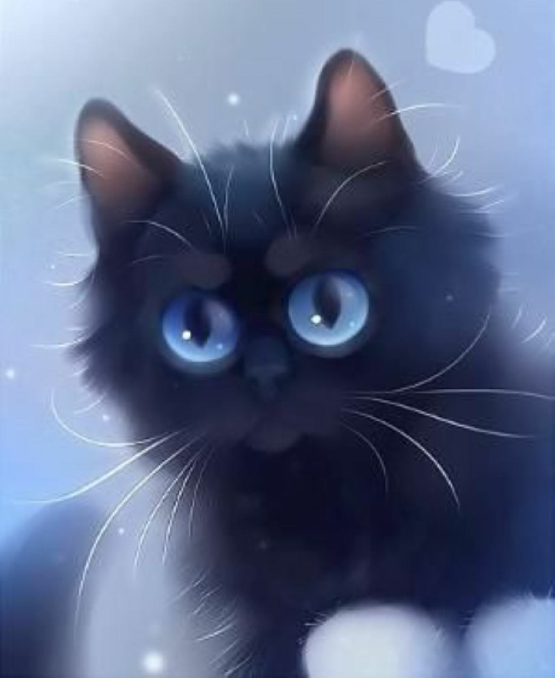 Tổng Hợp 300 ảnh Mèo đen Anime đẹp Nhất, được Tải Nhiều (10)