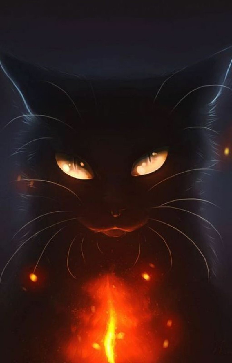 Tổng Hợp 300 ảnh Mèo đen Anime đẹp Nhất, được Tải Nhiều (13)