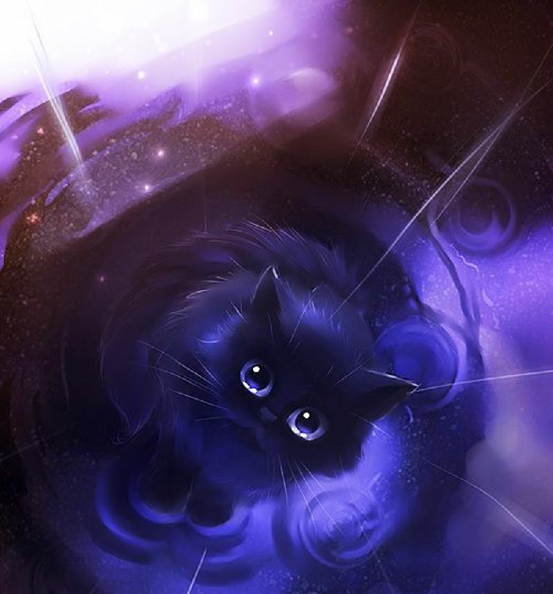 Tổng Hợp 300 ảnh Mèo đen Anime đẹp Nhất, được Tải Nhiều (19)