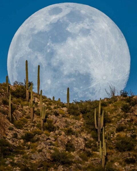 Hình ảnh mặt trăng khổng lồ trên sa mạc