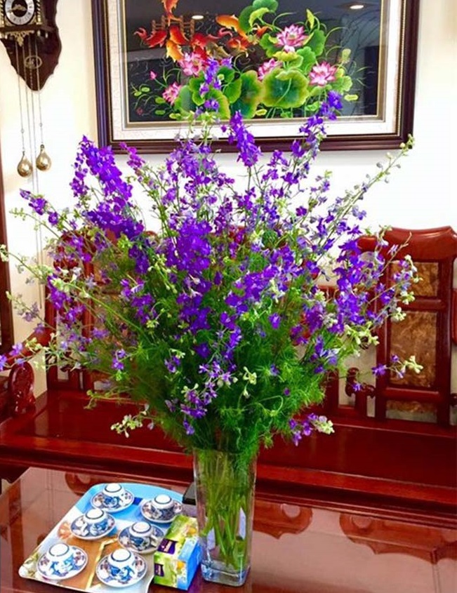 Mẫu cắm hoa violet đẹp