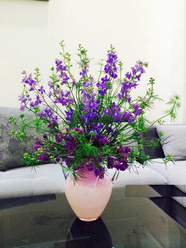 Cắm bình hoa violet tím đẹp