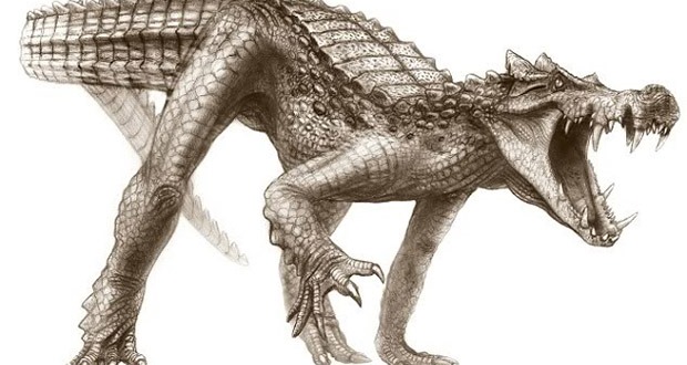 Kaprosuchus có chiều dài khoảng 6 mét 