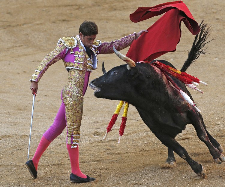 Năm 2010, chính quyền xứ Catalan từng ban hành lệnh cấm đấu bò tót 