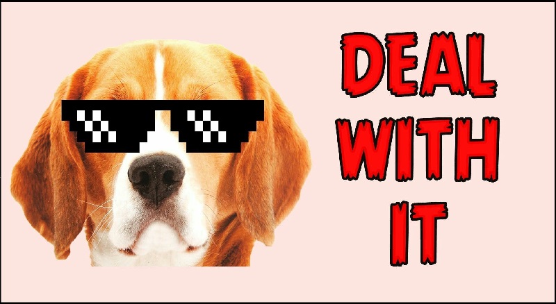 deal with