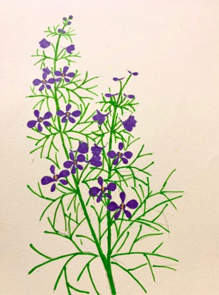 Tô màu hoa Violet