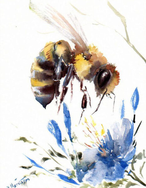 Bông hoa violet (xanh) và chú ong đang lấy mật