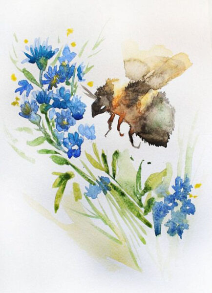 Hình vẽ hoa violet (xanh) và chú ong bằng màu nước
