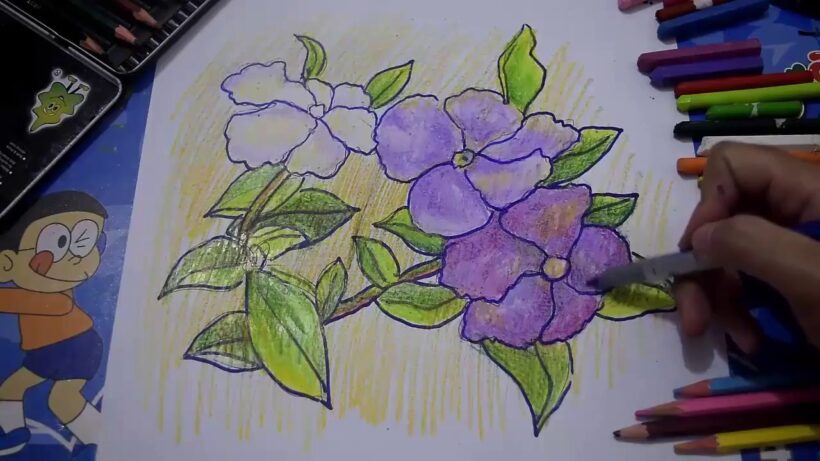 Cách vẽ và tô màu hoa violet