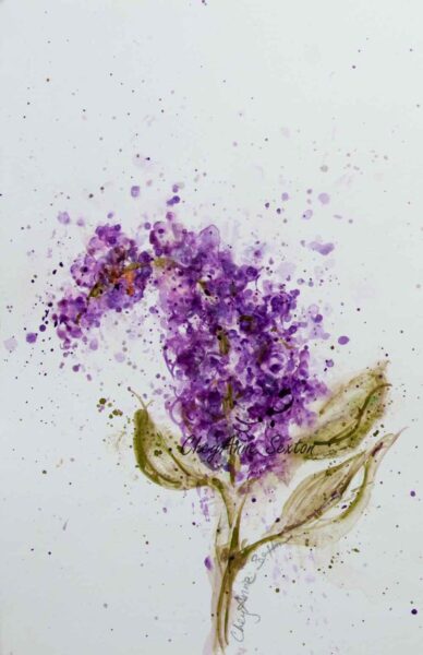 Cách vẽ hoa Tử Đinh Hương bằng màu nước