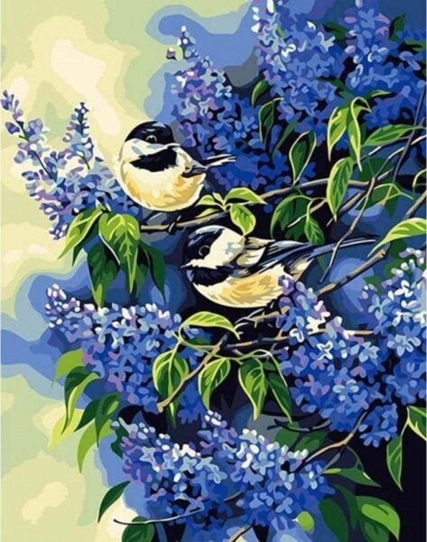 Hình vẽ hoa Tử Đinh Hương và những chú chim