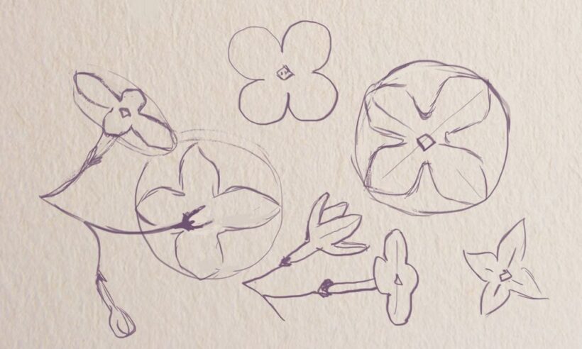 Cách vẽ bông hoa tử đinh hương