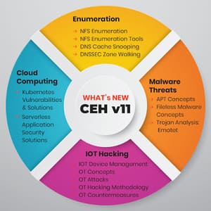 Download Tool và Ebook CEH v11 - Khóa học Hacker mũ trắng 5