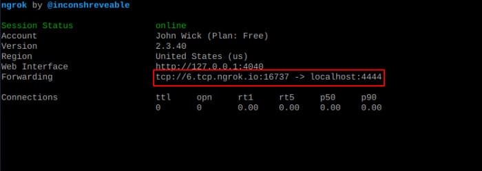 Cách cấu hình Ngrok để NAT Port trên Kali Linux 36