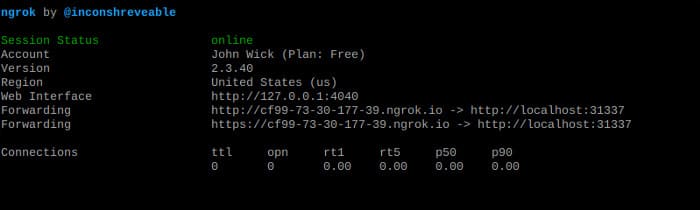 Cách cấu hình Ngrok để NAT Port trên Kali Linux 41