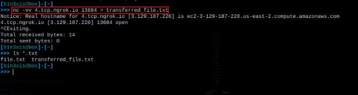 Cách cấu hình Ngrok để NAT Port trên Kali Linux 30