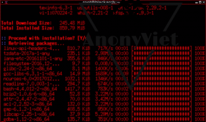 Hướng dẫn tải và cài đặt hệ điều hành BlackArch Linux trên VituralBox 13