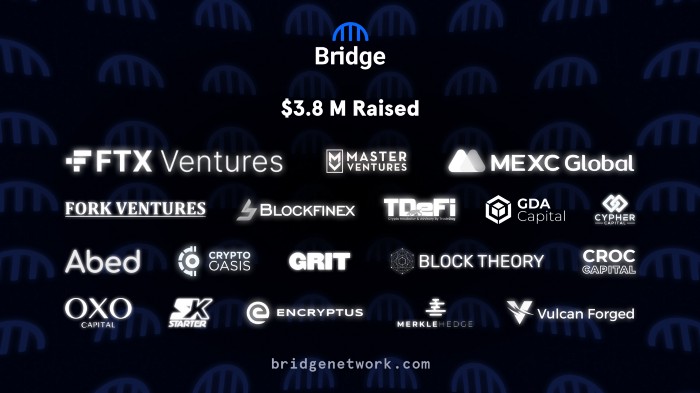 Bridge Network investors